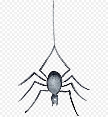 Light Graphics software - spider 