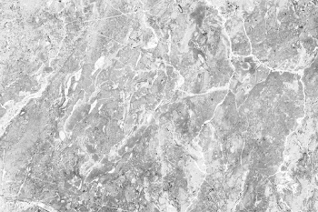 Light gray marbled stone texture | Free stock vector - 895652