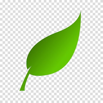 LIGHT, green leaf illustration transparent background PNG clipart