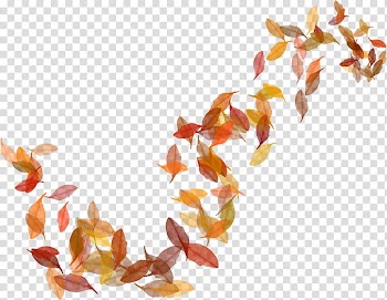 LIGHT, green leaf plant transparent background PNG clipart