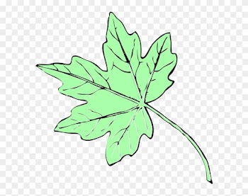 Light Green Maple Leaf Clip Art - Fall Leaves Clip Art