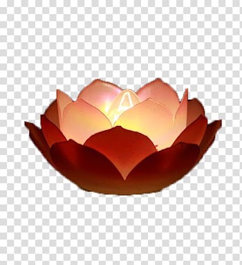 Light Lantern Festival Lantern Festival, Lotus Lantern Light transparent background PNG clipart