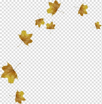 Light Leaf Autumn, autumn leaves transparent background PNG clipart
