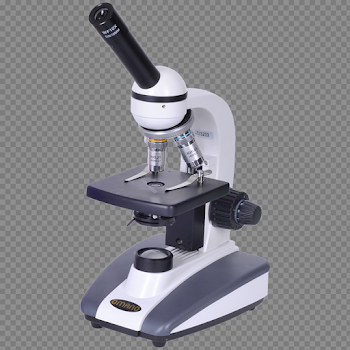 Light Microscope flashcards on Tinycards