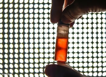 Light Microscopy Microscope Experiment. The p.. | Free public domain photo - 440081
