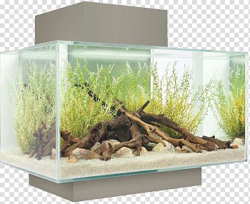 Light Nano aquarium Fishkeeping Filter, Rectangular tank transparent background PNG clipart