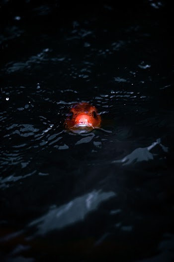 Light on Rocky Surface
