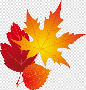 LIGHT, orange maple leaf painting transparent background PNG clipart