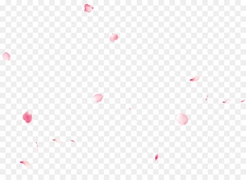 Light Red Sky Desktop Wallpaper Valentine's Day - Pink dream petals floating material 
