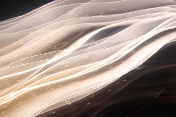 Light's veil