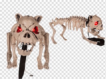 Light Snout C&A Kostra psa Carnivora, light transparent background PNG clipart