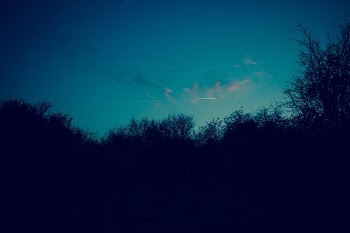          Light Streak In The Night Sky Free Photo     