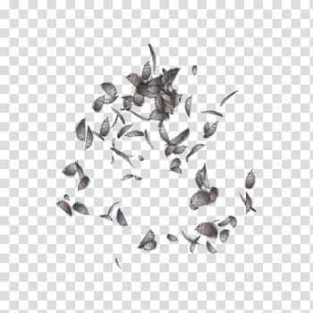 Light Transparency and translucency, light transparent background PNG clipart