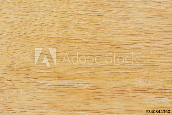Light wood floor