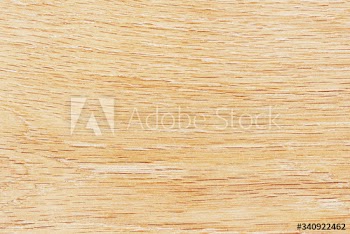 Light wood floor