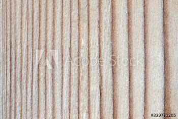Light wooden plank background