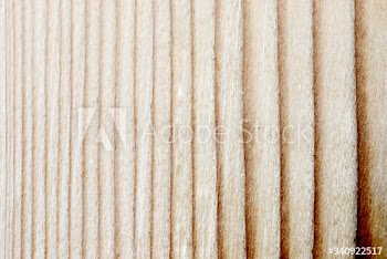 Light wooden plank background