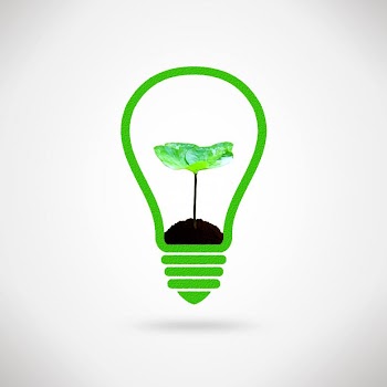 Lightbulb and plant sprout - Ecology and environment idea