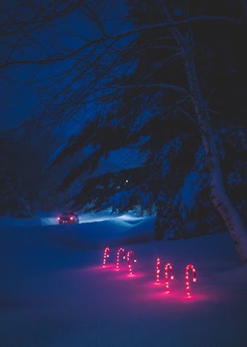 lighted candy cane and surrounded by snow