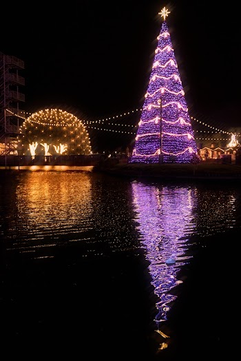 Lighted Christmas Tree Beside Body of Water