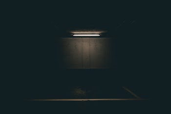 Lighted Fluorescent Tube
