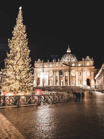 Lighted Holiday Tree in Front of Building