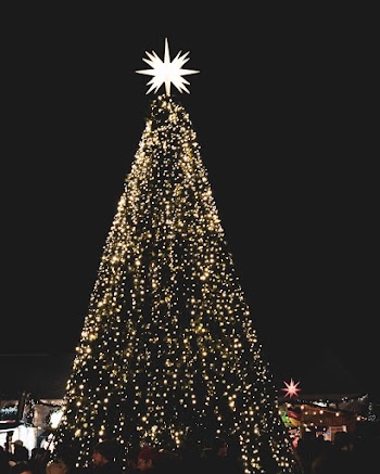 Lighted Outdoor Christmas Tree