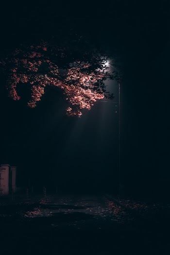 Lighted Street Lamp Post during Night Time