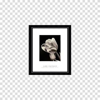 Lighting Ceiling Light fixture Kitchen, Single tulip paintings transparent background PNG clipart