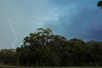 Lightning Above the Green Trees
