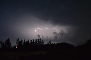 lightning on forest during night time