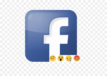 Like button Facebook Social media Google+ Casa da Balea - facebook 