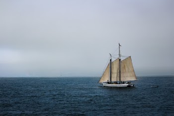 Like Ships