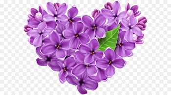 Lilac Clip art - Purple Lilac Heart PNG Picture 