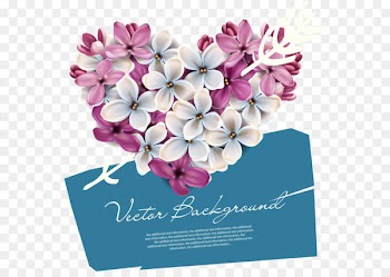 Lilac Royalty-free Flower Stock photography - Plumeria Bouquet 