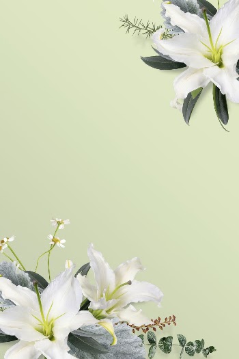 Lilies frame background, nature design | Free Photo - rawpixel