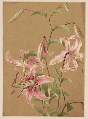 Lilies no. 5 (1886) by L. | Free Photo - rawpixel