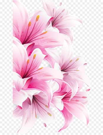 Lilium bulbiferum Easter lily Arum-lily Desktop Wallpaper Flower - magnolia 