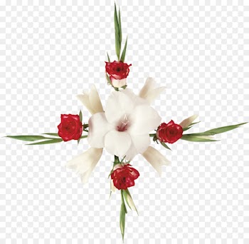 Lilium Flower .de - flower 