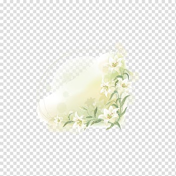 Lilium Flower , Lily decorative frame transparent background PNG clipart