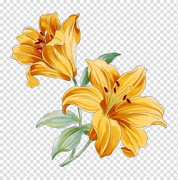 Lilium Flower Watercolor painting Drawing, secret garden wind transparent background PNG clipart