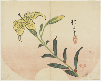 Lily (1839) print in high | Free Photo - rawpixel
