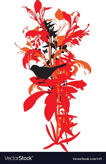 Lily and bird vector image