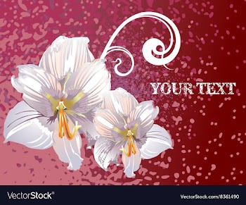 Lily Design with Text Space vector image