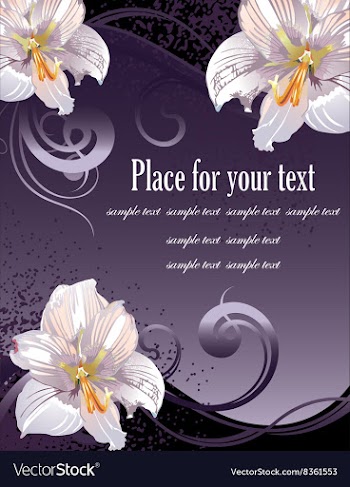 Lily Design with Text Space vector image