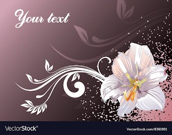Lily Design with Text Space vector image