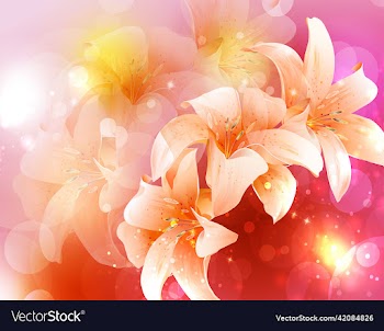 lily flower on pink gradient background
