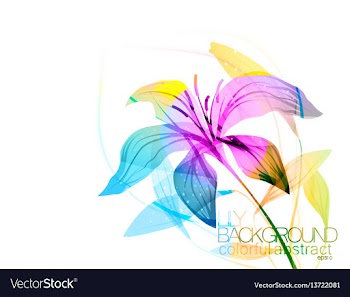 Lily flowers vector image