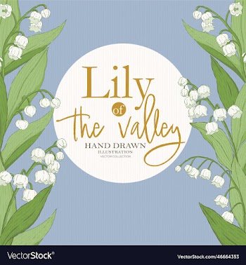 lily of the valley border coll