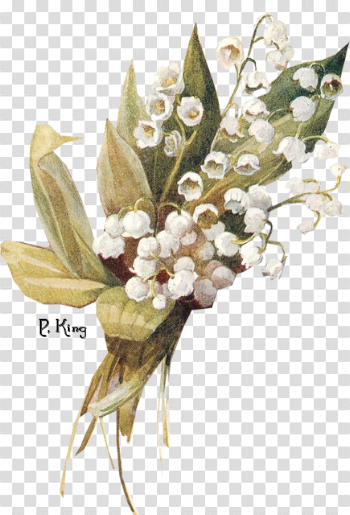 Lily Of The Valley Free Download